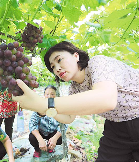 1606793713179.png 4.png