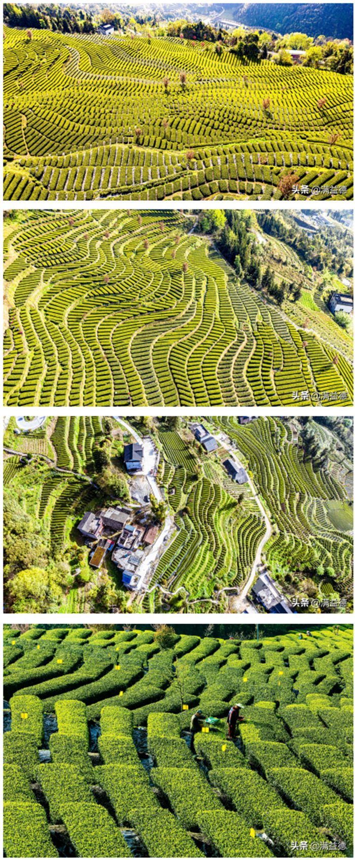 1619057127170.png 1).png