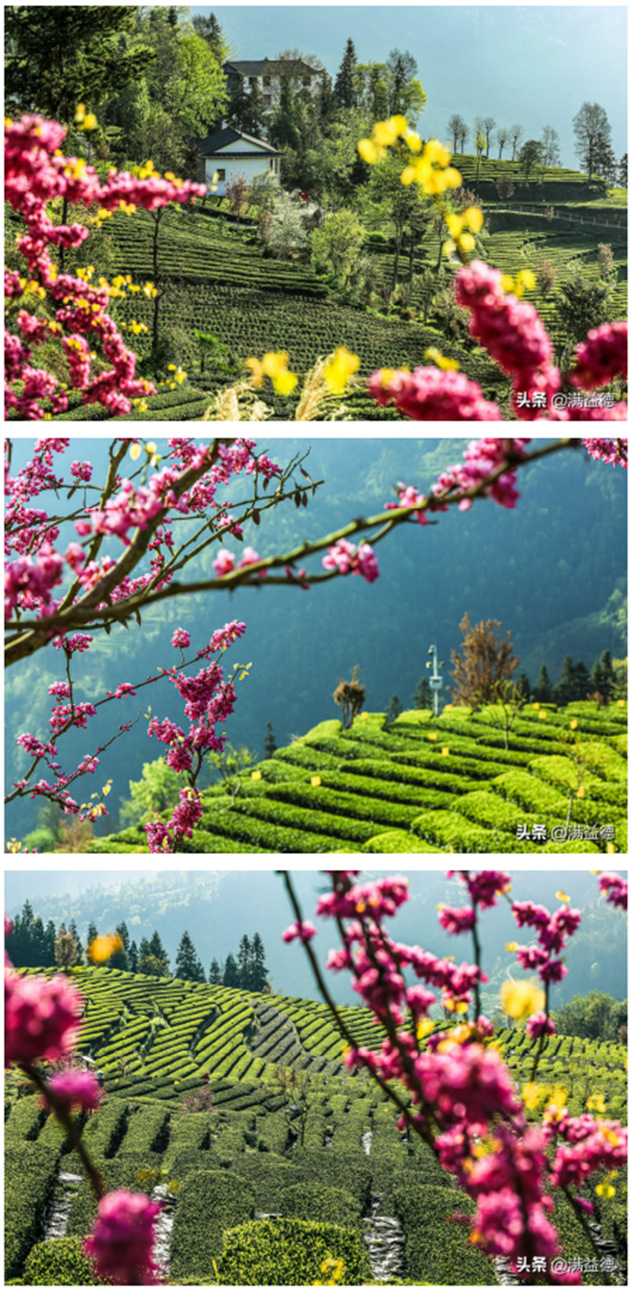 1619057283267.png 1).png