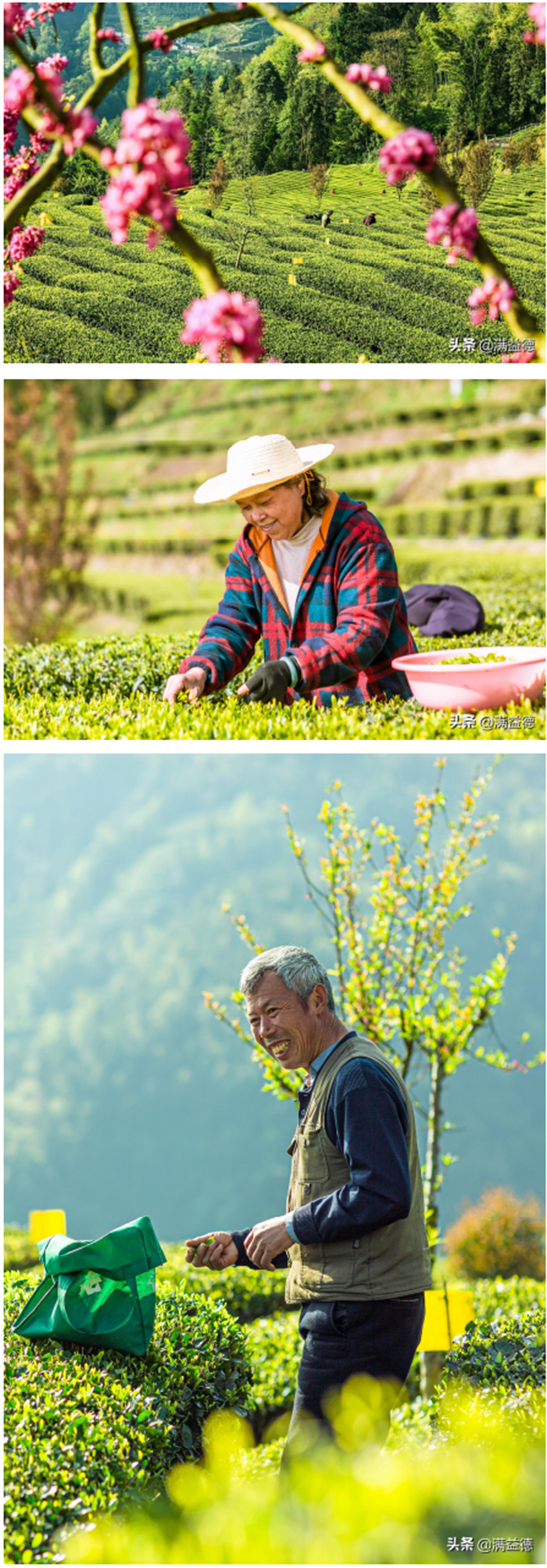 1619057359485.png 1).png