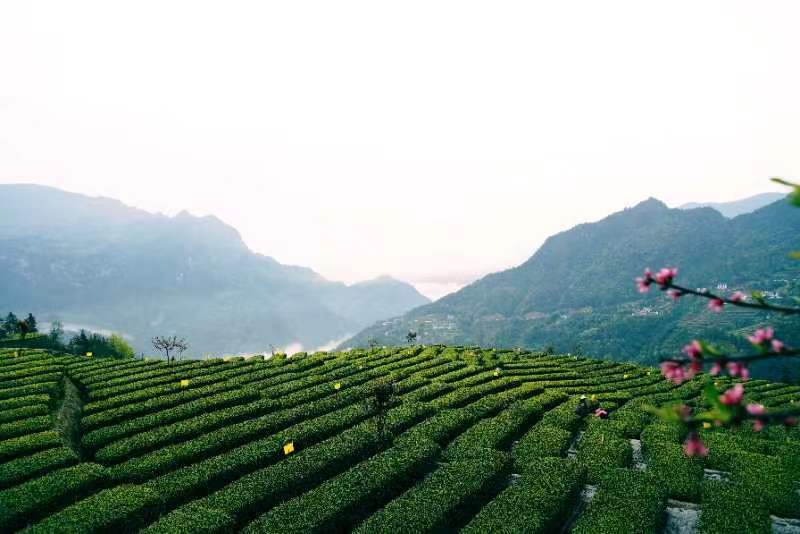 1703901219830.jpg 1.jpg